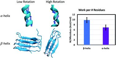 Protein Secondary Structure Alpha Helix And Beta Sheet