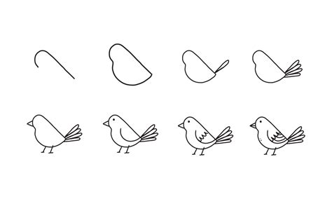 how to draw a cute bird step by step. pets animal cartoon coloring ...