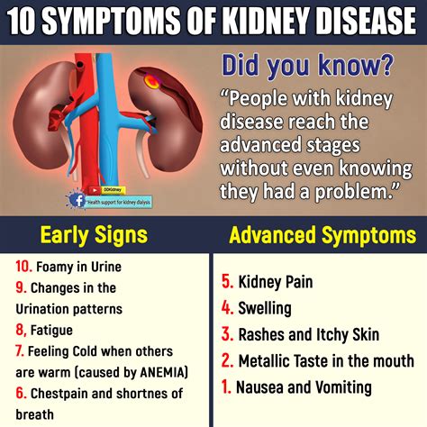 Is it really possible to get off kidney dialysis?: 10 SYMPTOMS OF ...