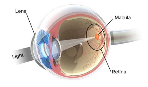 Learn | Science Of AMD