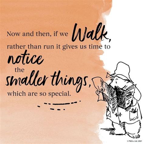 Paddington Bear Inspirational quote