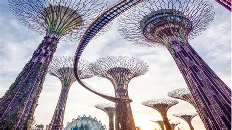 Gardens by the Bay Singapore Tour - Cloud Forest & Flower Dome ...