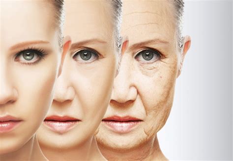 Causes Of Our Aging Skin - Anti Aging Story