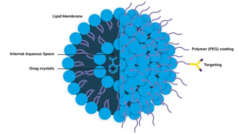 Liposome_Synthesis_Application_Full_Width_Image | Dolomite Microfluidics