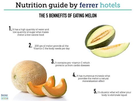 Check out the 5 benefits of eating melon | Nutrition guide, Nutrition ...