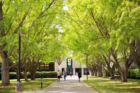 Sac State is again celebrated for its thriving urban forest