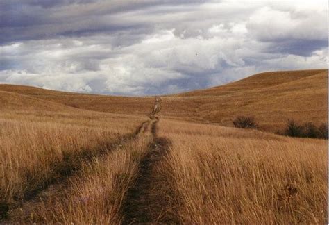 Konza Prairie public hiking trail, near Manhattan, Kansas. A must-do if ...