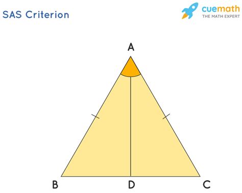 What is SAS Triangle Formula? Examples