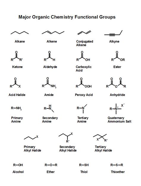 Functional Groups in Organic Chemistry [with diagrams]