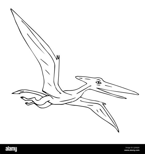 Vector black hand drawn outline sketch flying pterodactyl dinosaur ...