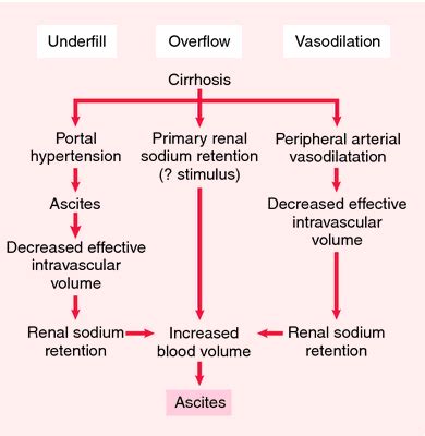 Ascites: Etiology/ Pathophysiology of Ascites