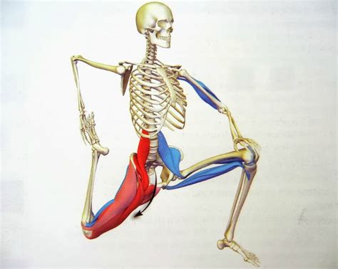 The 30-Second Fix for Tight Hip Flexors | Yuri Elkaim | Psoas muscle ...