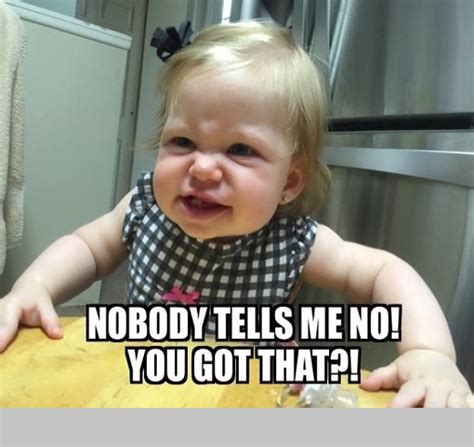 40 Hilarious Angry Baby Memes for 2024 – Child Insider