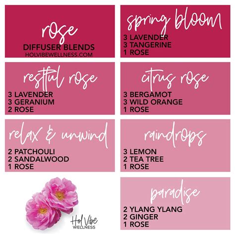 Rose essential oil diffuser blends with: lavender, tangerine, geranium ...