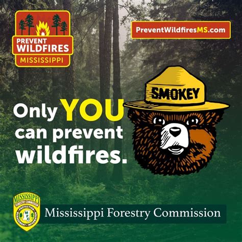 Wildfire Prevention | Mississippi Forestry Commission