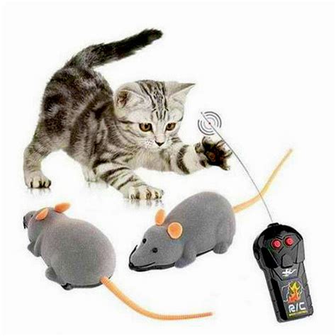 Remote Control Mouse Toy – iPetStuff