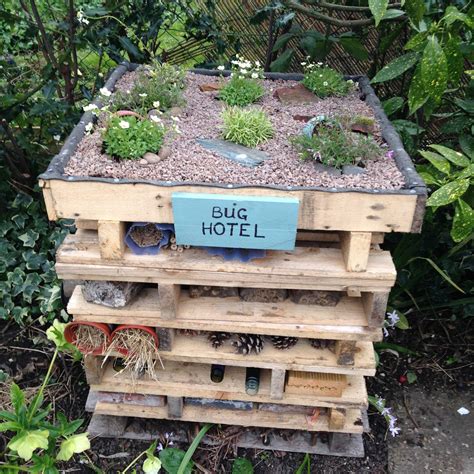 Insect hotel I built in my garden from pallets. | Insect hotel, Bug ...