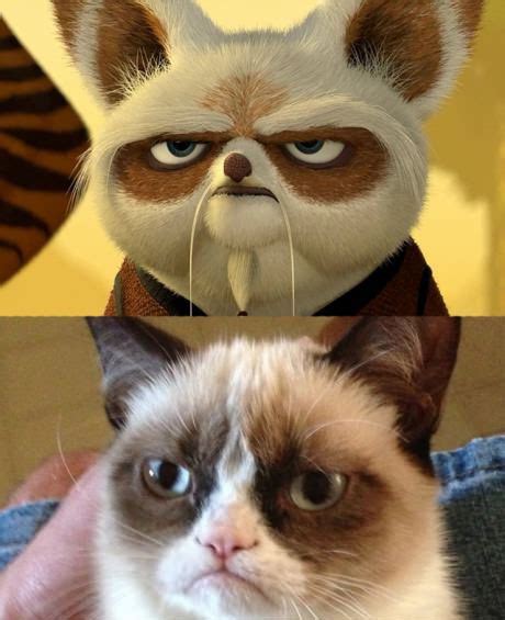 Master Shifu and Grumpy Cat xDD | Grumpy cat, Kung fu panda, Cats