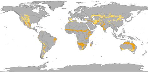 Climate Types for Kids | Semi-Arid Climate