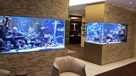 20 of the Coolest Wall Fish Tank Designs