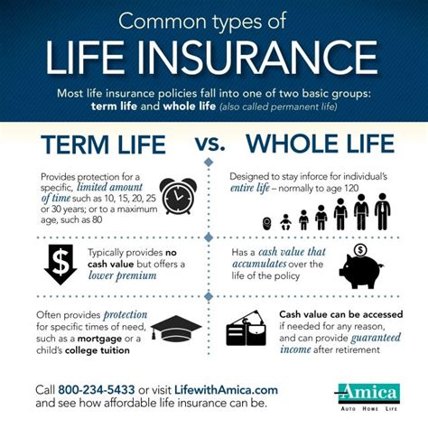 Common Types of Life Insurance Infographic