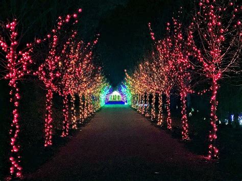 Winterlights: Naumkeag doubles down on holiday spirit | Archives ...