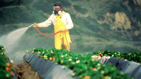 How Much Toxic Roundup Are You Eating? http://www.rodalesorganiclife ...