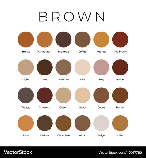 Brown color shades swatches palette with names Vector Image