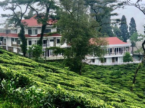 5 Tea Estates In Darjeeling (2022) | Updated Deals, Latest Reviews, Photos