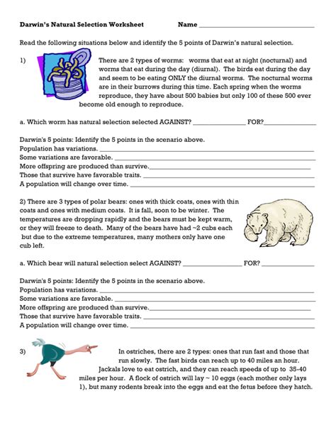 Darwins Natural Selection Worksheet Answers : Darwin S Theory Of ...