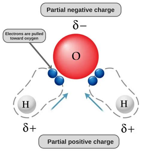 H2O Polar or Nonpolar: Check Covalent bond and polarity - Geometry of ...