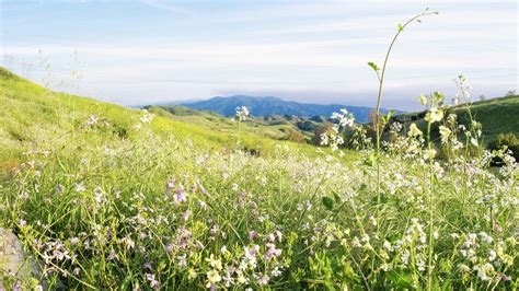 Chino Hills State Park 2 Photograph by The Ecotone - Fine Art America