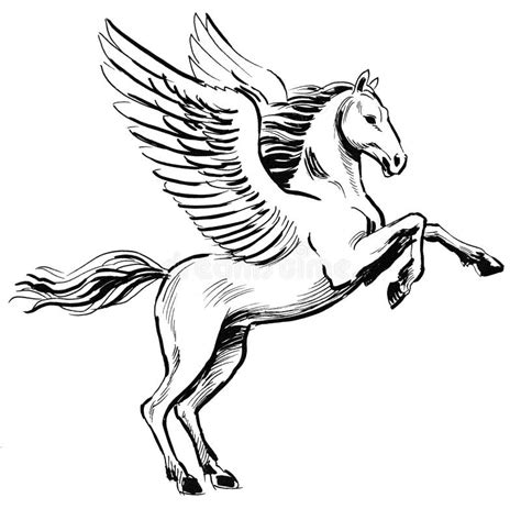 Pegasus Outline Drawing - Liqurus