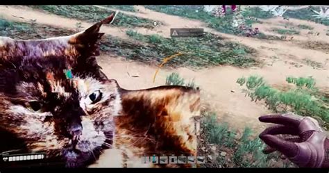 Gaming Detail: Satisfactory Has An "Arachnophobia Mode" That Makes Cats ...