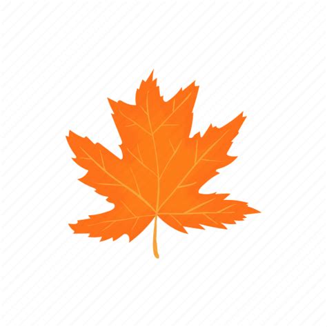 Autumn, cartoon, fall, leaf, maple, nature, season icon - Download on ...