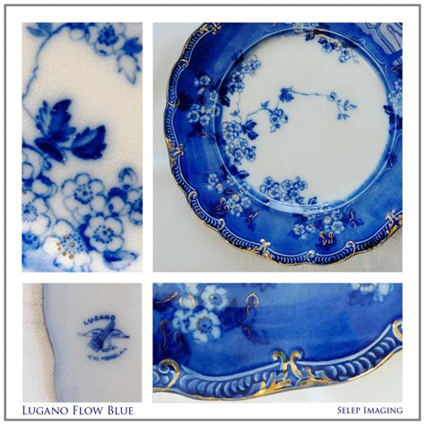 Selep Imaging Blog: Flow Blue China Patterns