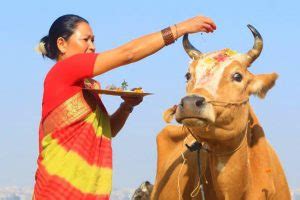 Nepal National Symbols - Checklist & Meaning | Go Nepal Tours