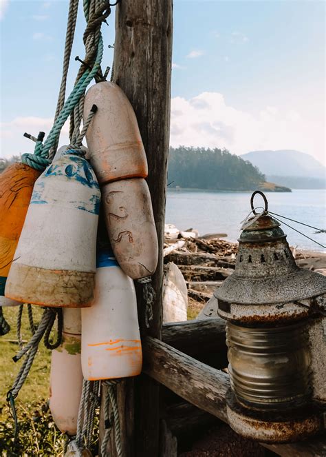 How to Spend Two Days on Lummi Island — Moore Misadventures