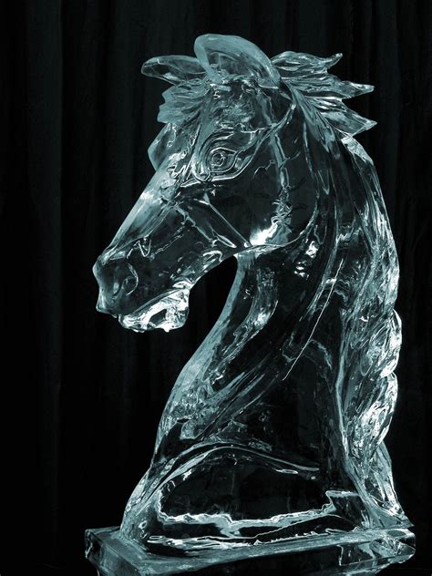 3D Horse Ice Sculpture | Ice sculptures, Sculpture, Ice art