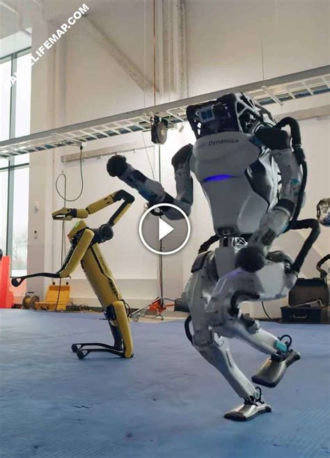 Dancing robots - The future is here | DanceLifeMap | Robot dance, Robot ...