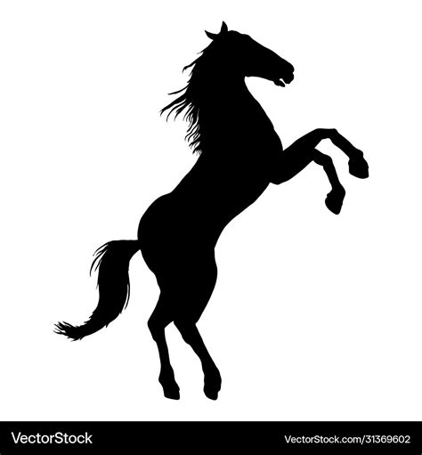 Silhouette rearing horse Royalty Free Vector Image