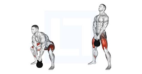 Kettlebell Sumo Deadlift - Guide, Benefits, and Form