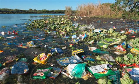 Plastic poses a major environmental threat: but is it being over-stated?