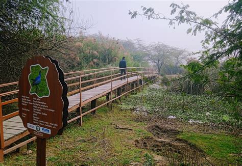 Okhla Bird Sanctuary: Metro Station, Ticket Price & Timings - Jovial ...