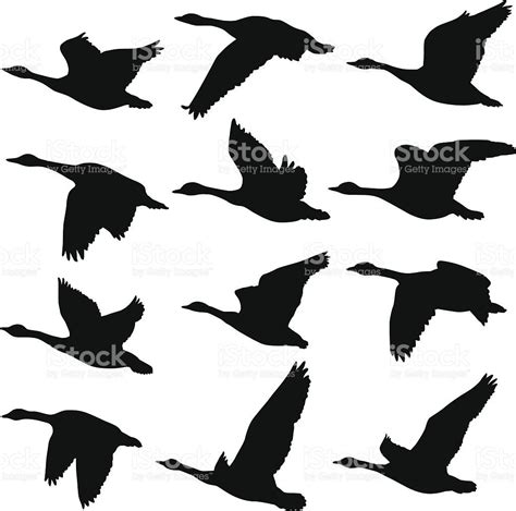 Flying Geese Silhouettes royalty-free stock vector art Bird Silhouette ...