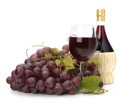 Compound found in grapes, red wine may help prevent memory loss - Vital ...