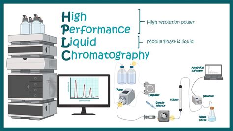 High Performance Liquid Chromatography Hplc- Uv-Vis Detector Animation ...