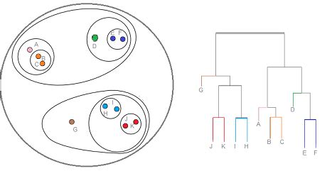 Hierarchical Clustering / Dendrogram: Simple Definition, Examples ...