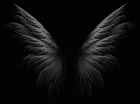 Angel Wings GIF - Angel Wings Angel Wings - Discover & Share GIFs