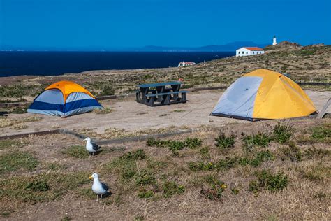 Everything You Need to Know About Channel Islands Camping » The Parks ...